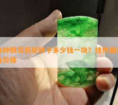 冰种飘花翡翠牌子多少钱一块？挂件图片及价格