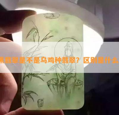 黑翡翠是不是乌鸡种翡翠？区别是什么？