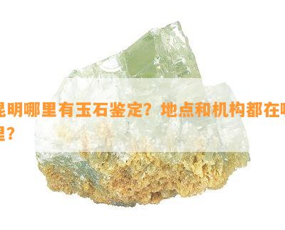 昆明哪里有玉石鉴定？地点和机构都在哪里？