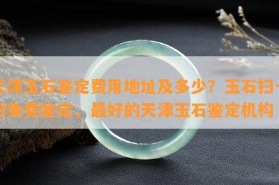 天津玉石鉴定费用地址及多少？玉石扫一扫免费鉴定，更好的天津玉石鉴定机构