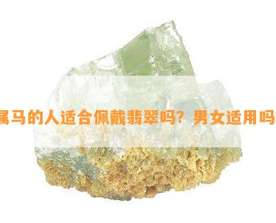 属马的人适合佩戴翡翠吗？男女适用吗？