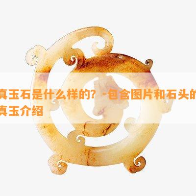 真玉石是什么样的？-包含图片和石头的真玉介绍