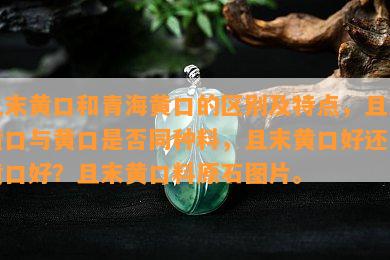 且末黄口和青海黄口的区别及特点，且末黄口与黄口是不是同种料，且末黄口好还是黄口好？且末黄口料原石图片。