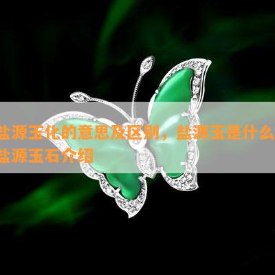 盐源玉化的意思及区别，盐源玉是什么，盐源玉石介绍