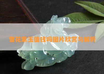 雪花紫玉值钱吗图片欣赏与解析