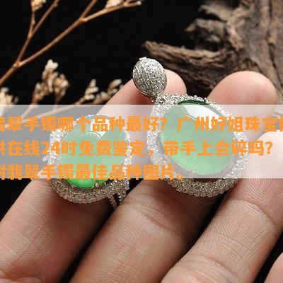 翡翠手镯哪个品种更好？广州好姐珠宝提供在线24时免费鉴定，带手上会碎吗？附翡翠手镯更佳品种图片。