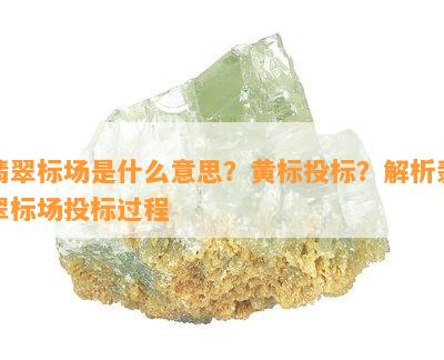 翡翠标场是什么意思？黄标投标？解析翡翠标场投标过程