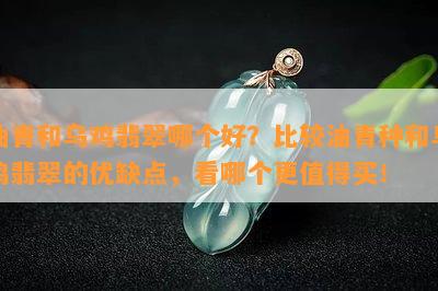 油青和乌鸡翡翠哪个好？比较油青种和乌鸡翡翠的优缺点，看哪个更值得买！