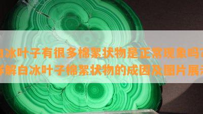 白冰叶子有很多棉絮状物是正常现象吗？详解白冰叶子棉絮状物的成因及图片展示