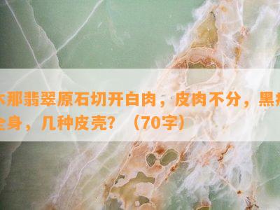 木那翡翠原石切开白肉，皮肉不分，黑癣全身，几种皮壳？（70字）