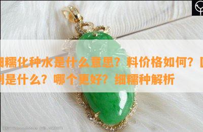 细糯化种水是什么意思？料价格如何？区别是什么？哪个更好？细糯种解析