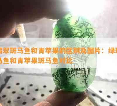 翡翠斑马鱼和青苹果的区别及图片：绿斑马鱼和青苹果斑马鱼对比