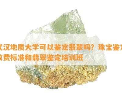 武汉地质大学可以鉴定翡翠吗？珠宝鉴定收费标准和翡翠鉴定培训班