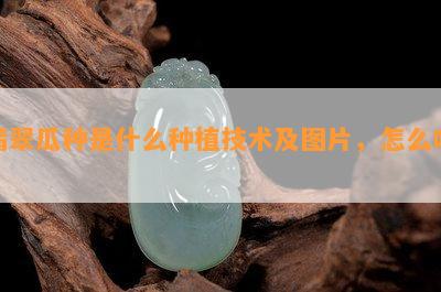 翡翠瓜种是什么种植技术及图片，怎么吃？