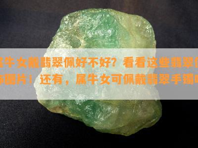 属牛女戴翡翠佩好不好？看看这些翡翠佩饰图片！还有，属牛女可佩戴翡翠手镯吗？