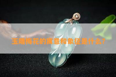 玉雕梅花的寓意和象征是什么？