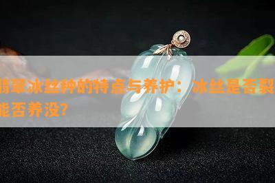 翡翠冰丝种的特点与养护：冰丝是不是裂、能否养没？