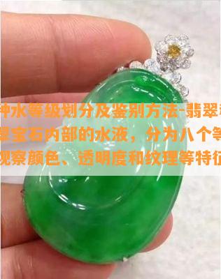 翡翠种水等级划分及鉴别方法-翡翠种水指翡翠宝石内部的水液，分为八个等级，通过观察颜色、透明度和纹理等特征鉴别。