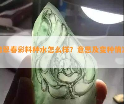 翡翠春彩料种水怎么样？意思及变种情况。