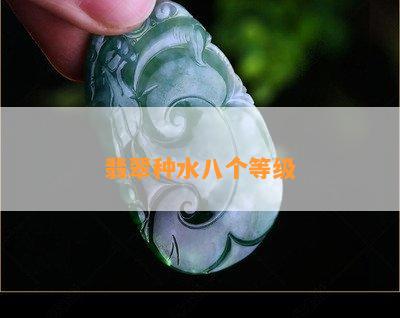 翡翠种水八个等级