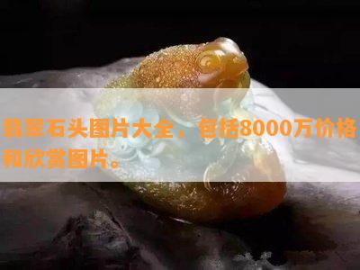 翡翠石头图片大全，包含8000万价格和欣赏图片。