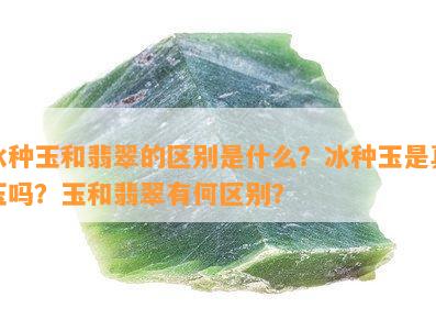 冰种玉和翡翠的区别是什么？冰种玉是真玉吗？玉和翡翠有何区别？