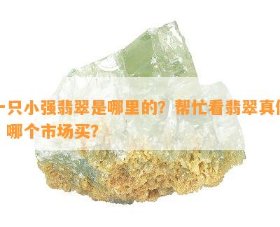 一只小强翡翠是哪里的？帮忙看翡翠真假，哪个市场买？