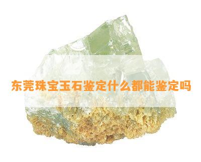 东莞珠宝玉石鉴定什么都能鉴定吗