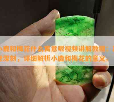 小鹿和梅花什么寓意呢视频讲解教程：寓意深刻，详细解析小鹿和梅花的意义。