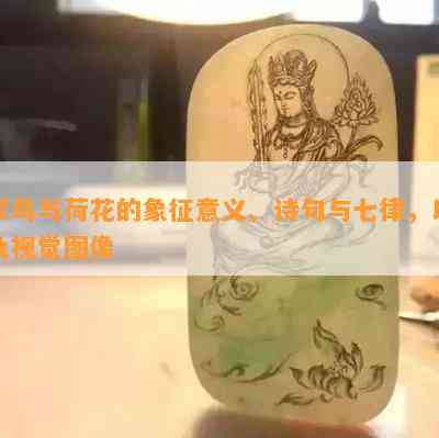 翠鸟与荷花的象征意义、诗句与七律，以及视觉图像