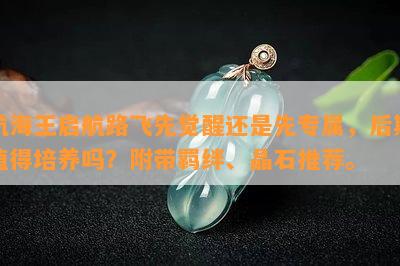 航海王启航路飞先觉醒还是先专属，后期值得培养吗？附带羁绊、晶石推荐。