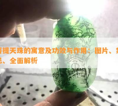 菩提天珠的寓意及功效与作用：图片、禁忌、全面解析