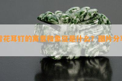 雪花耳钉的寓意和象征是什么？图片分享！