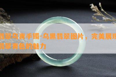 翡翠乌青手镯-乌黑翡翠图片，完美展现翡翠青色的魅力