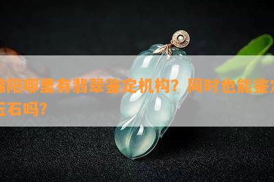 绵阳哪里有翡翠鉴定机构？同时也能鉴定玉石吗？