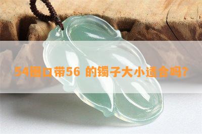 54圈口带56 的镯子大小适合吗？