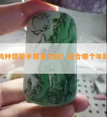 乌鸡种翡翠手镯多少钱？适合哪个年龄段？