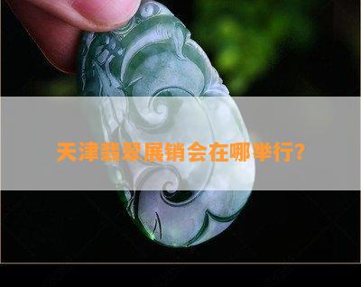 天津翡翠展销会在哪举行？