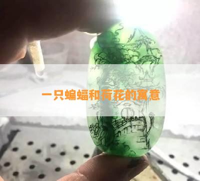 一只蝙蝠和荷花的寓意