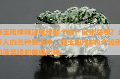 碧玉阳绿和菠菜绿哪个好？区别在哪？最养人的三种碧玉中，碧玉阳绿的9个级别和菠菜绿的美感比较。