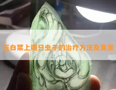 玉白菜上雕只虫子的治疗方法及寓意