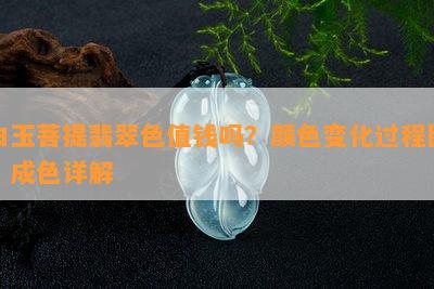 白玉菩提翡翠色值钱吗？颜色变化过程图、成色详解