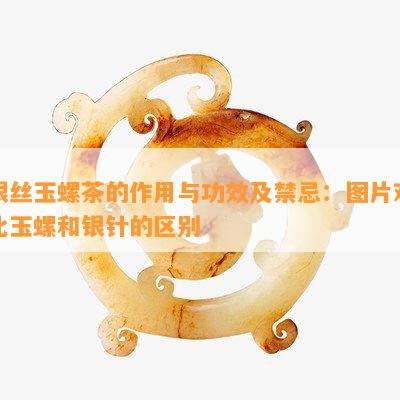 银丝玉螺茶的作用与功效及禁忌：图片对比玉螺和银针的区别