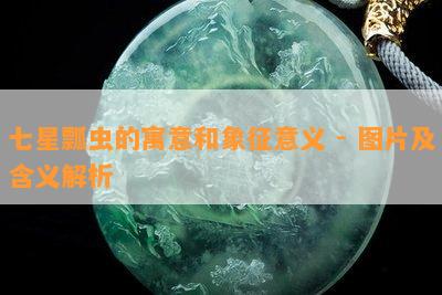 七星瓢虫的寓意和象征意义 - 图片及含义解析