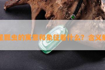 七星瓢虫的寓意和象征着什么？含义解析