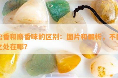 松香和麝香味的区别：图片和解析，不同之处在哪？