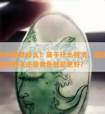 偏白的翡翠好么？属于什么档次，值钱吗？值得购买还是黄色翡翠更好？