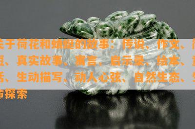 关于荷花和蜻蜓的故事：传说、作文、简短、真实故事、寓言、启示录、绘本、童话、生动描写、动人心弦、自然生态、生命探索