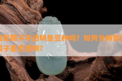 翡翠镯子不透明是豆种吗？如何分辨翡翠镯子是否透明？