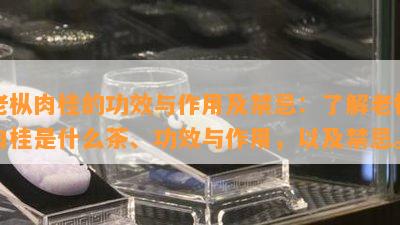 老枞肉桂的功效与作用及禁忌：熟悉老枞肉桂是什么茶、功效与作用，以及禁忌。